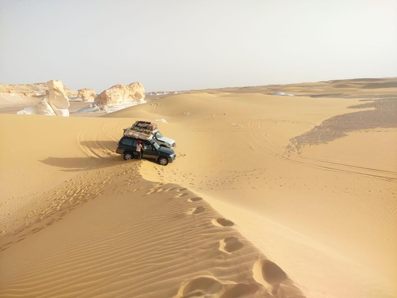 Safari Camp Bahariya Oasis Hotel Bawati Eksteriør billede