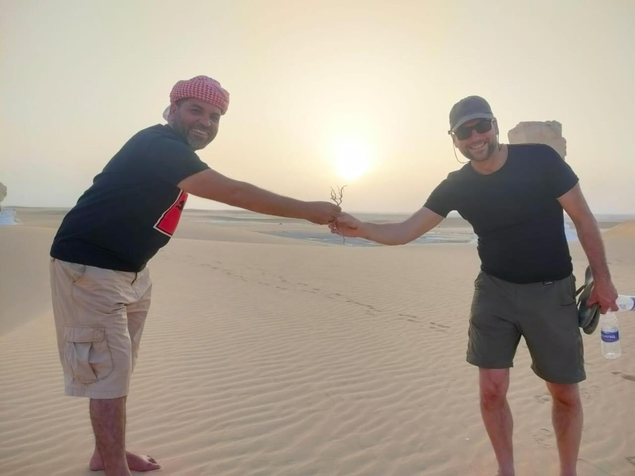 Safari Camp Bahariya Oasis Hotel Bawati Eksteriør billede