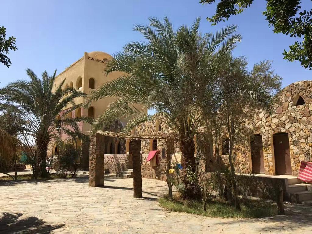 Safari Camp Bahariya Oasis Hotel Bawati Eksteriør billede