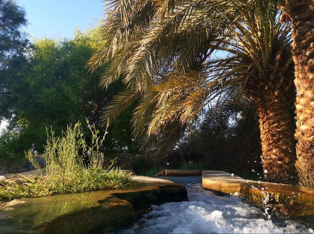 Safari Camp Bahariya Oasis Hotel Bawati Eksteriør billede